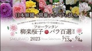 由志園　柳楽桜子バラ百選2023
