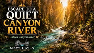 Golden Canyon River | Original Cinematic Ambient Soundtrack | Slow Haven