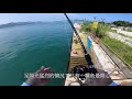 香港釣魚 前打釣 落込釣 筏釣 Hechi釣 2020年八月中旬至下旬 小物釣行記錄 小継ヘチ竿 別誂金剛夕なぎ 浜田商会 ヘチ Daiwa Bj Sniper F-300m