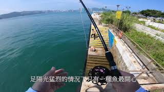 香港釣魚 前打釣 落込釣 筏釣 Hechi釣 2020年八月中旬至下旬 小物釣行記錄 小継ヘチ竿 別誂金剛夕なぎ 浜田商会 ヘチ Daiwa Bj Sniper F-300m