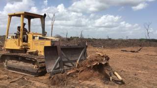 Tanzania Farming