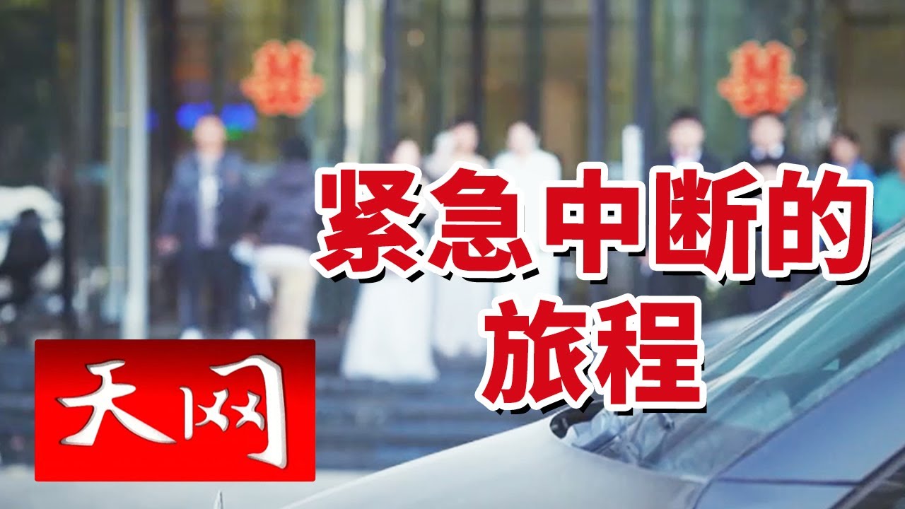 《天网》新郎敬酒 好友掏红包却尴尬了！四个红包三个空 究竟发生了什么？20250206