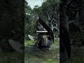 Funny Interactions in Black Myth Wukong