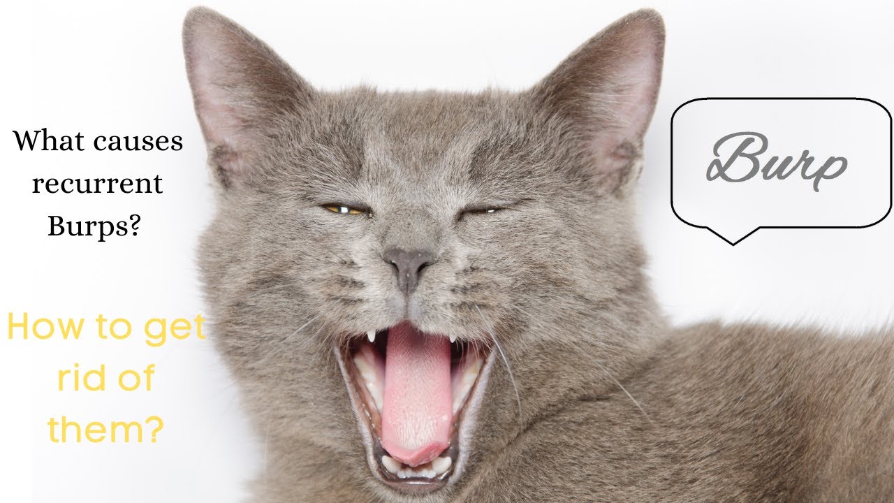 What causes recurrent Burps? How to get rid of them? YouTube