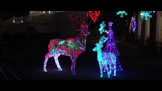 LEDホログラム レインボーフィルムモチーフ ツリー