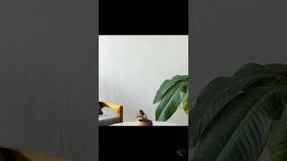 Fine Art for the Modern Collector — POECH ART