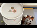 1時間カイジ沼3段クルーン配信中❣️#asmr #marblerun #雑談