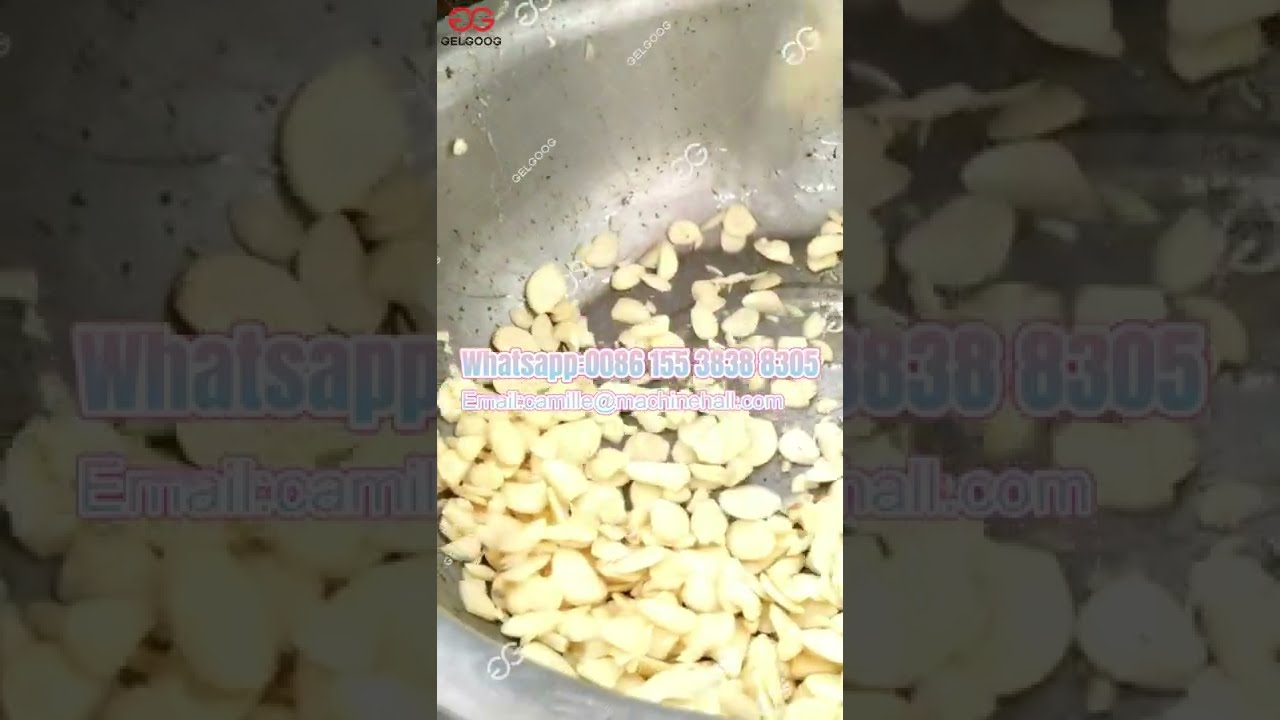 Faste Speed Garlic Slicing Machine Garlic Cutter