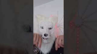 Gute laue #furry #viral #flachwitz #heftig #funny #lustig #puppy #pets #memes #comedy