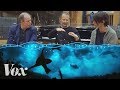 Adapting 'Bloom' for Blue Planet II