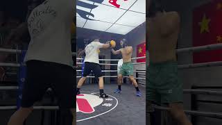 Champ training in the ring! #boxing #wushufight #boxingtraining #muaythai #boxingworkout #fightprep