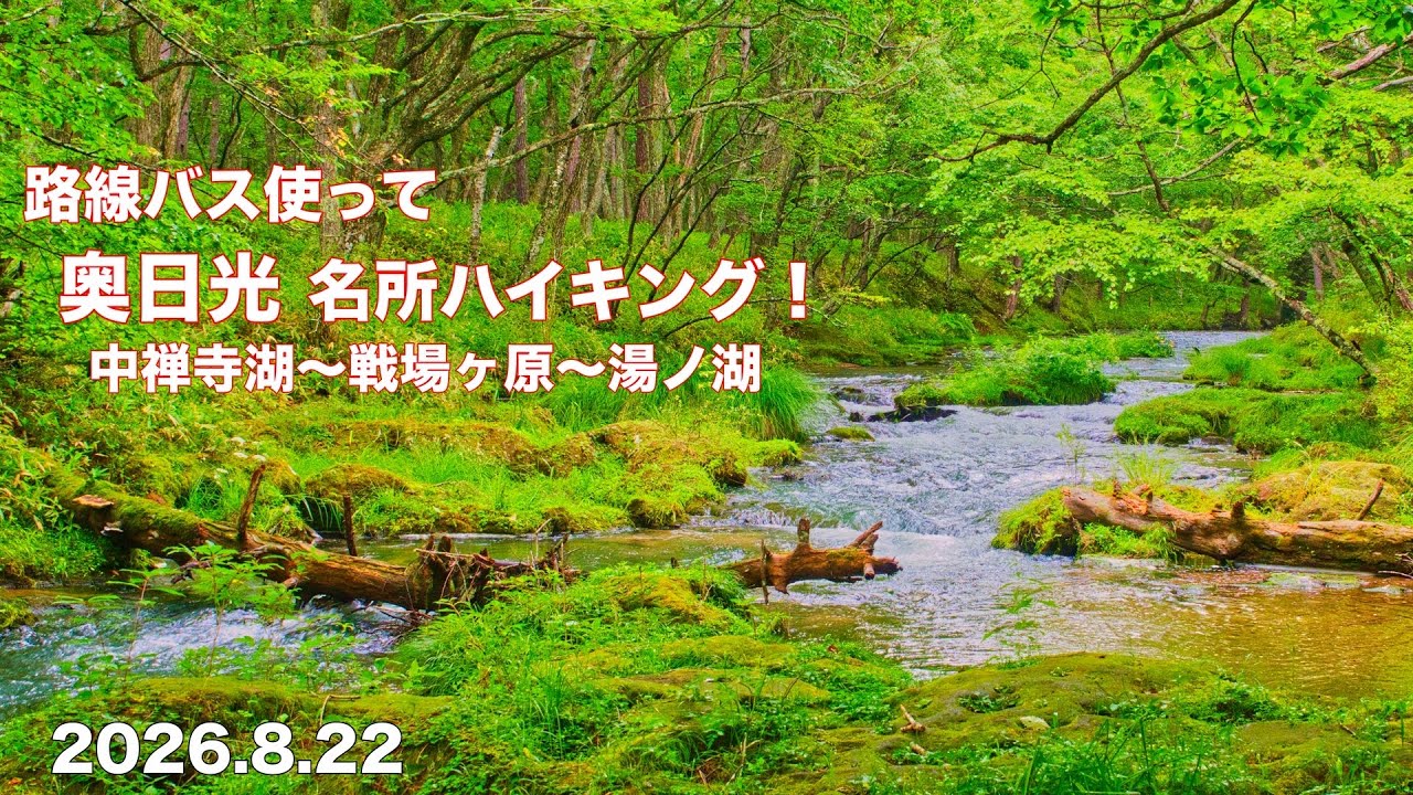 新・花の百名山】4K キツネノカミソリ群生地 三毳山|みかも山公園 栃木