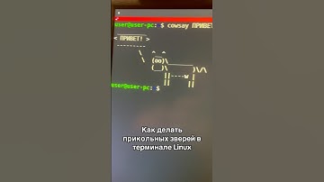 Как делать прикольных зверей в терминале Linux #IT #программирование #bash