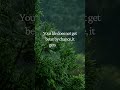 Your life does not get beter by chance, it gets better by change