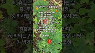 전업주부의 고달픈현실#삶의지혜 #긍정적마인드 #인생철학 #지혜로운말 #지혜로운사람 #긍정의한줄 #인생조언 #전업주부 #주부일탈 # 주부일상