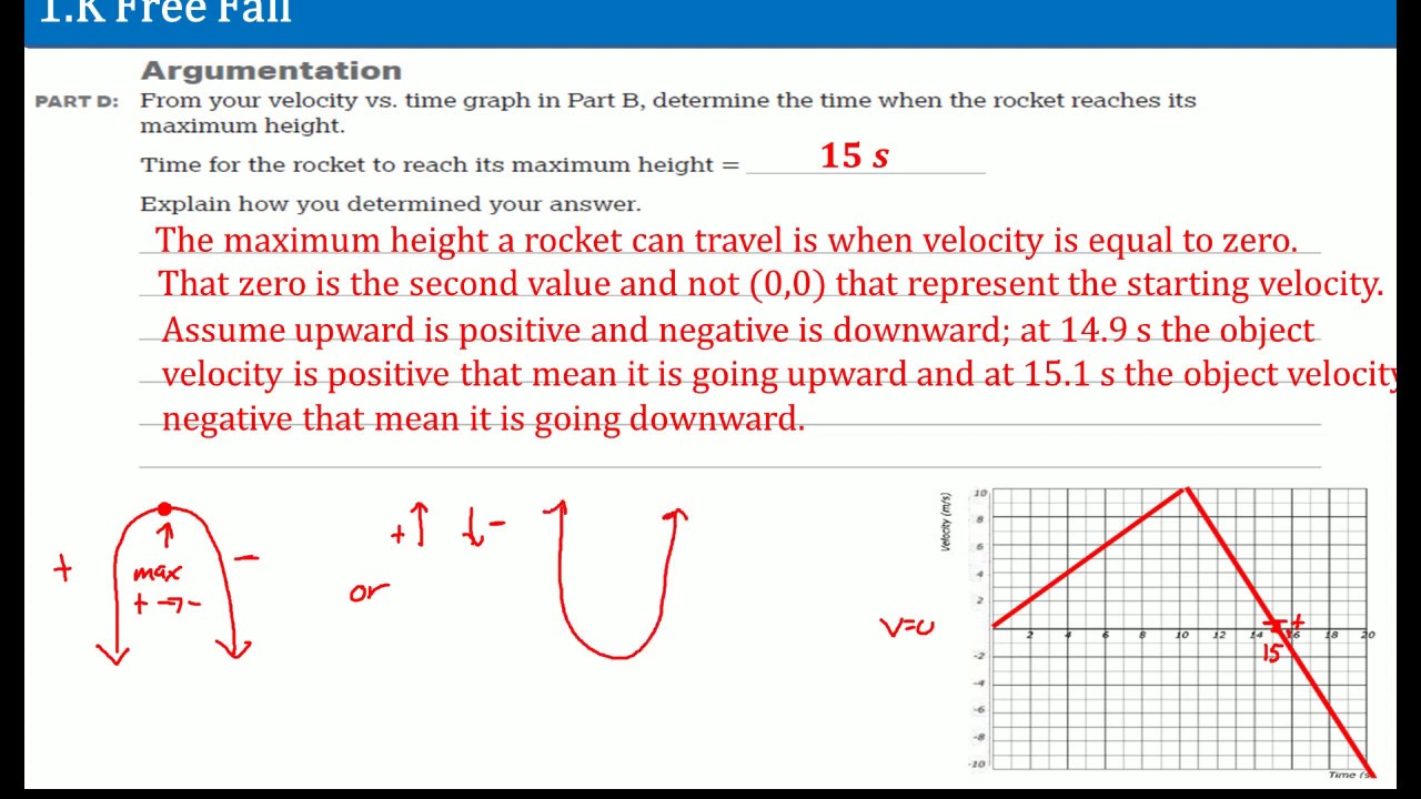 Free Fall Worksheet Answers