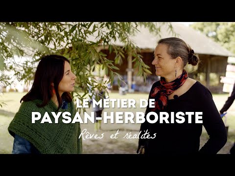 Vidéo: 4 manières de devenir herboriste