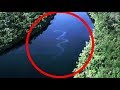 10 สัตว์ประหลาดแห่งป่า,แม่น้ำอเมซอน..ตัวใหญ่มาก