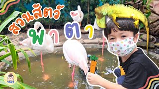 เที่ยวสวนสัตว์พาต้าครั้งแรก (โฉมใหม่ปี 2566) | โตแบบ​สายบู๊​จอม​บู๊​Channel