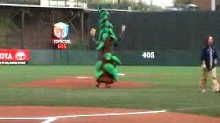 Friends Of Trees At Portland Beavers