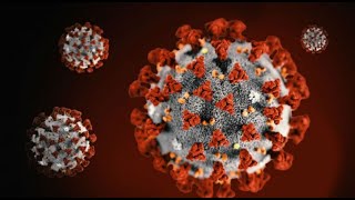A top health official says  Gov. Doug Ducey needs to take action to mitigate the spread of COVID-19.