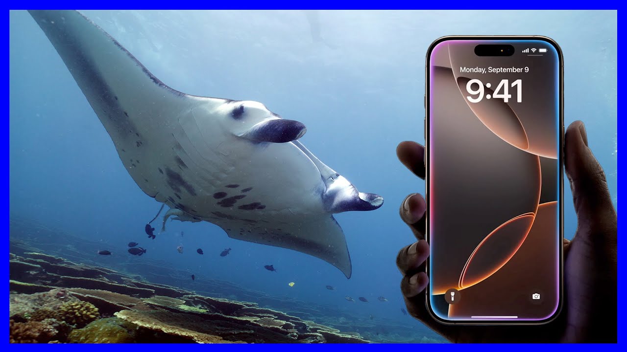iPhone 16 Pro для ПОДВОДНОЙ СЪЁМКИ 🌊🎥 | Стоит ли обновляться?! 🤷🏻‍♂️