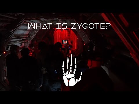 Vidéo: Qu'est-ce Qu'un Zygote