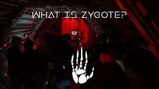 Oats Studios - What is Zygote?