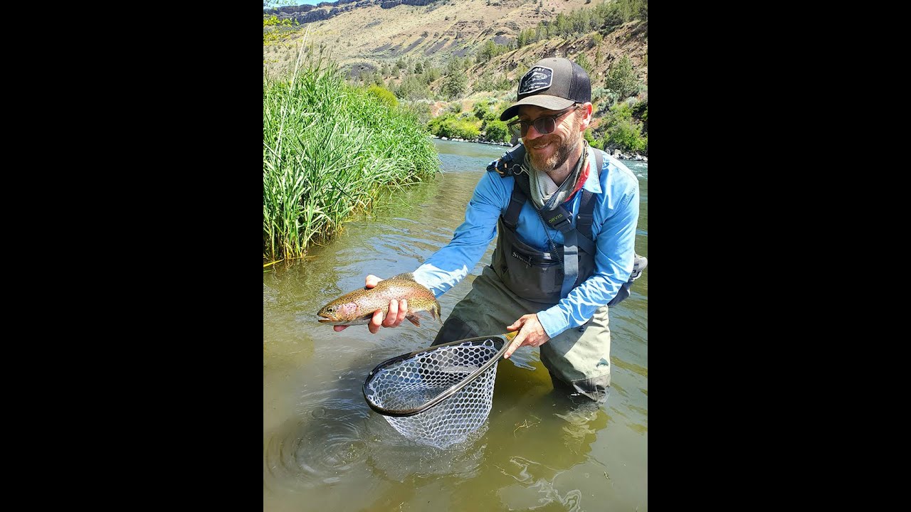 Deschutes Salmon Fly Hatch 2024 YouTube