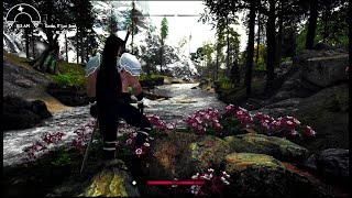 Nolvus Natural Light Skyrim SE Performance Helpful Tweaks plus adding more mods helpful information