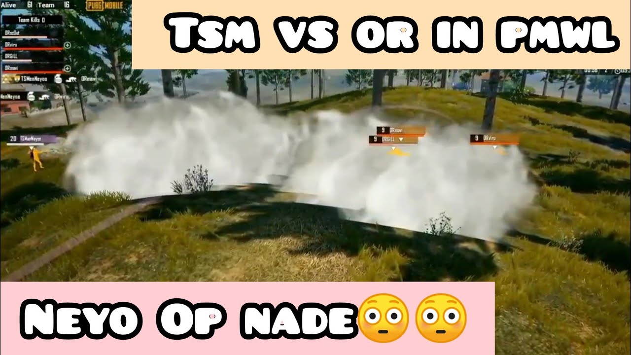 TSM ENTITY VS ORANGE ROCK IN PMWL | Entity  Neyo Op Grenade | Scout vs Jonathan 🔥
