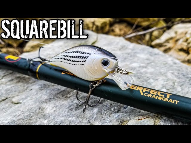 BEST CrankBait Rod for Bass Fishing - Lews David Fritts Perfect CrankBait  Rod 