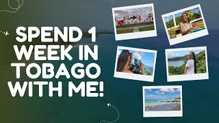 1st 2026 VLOG! My FIRST time in Tobago🇹🇹🌊☀️