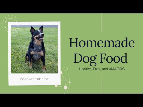 HOMEMADE Dog Food