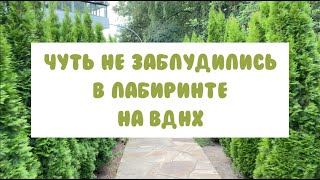 Что посмотреть на ВДНХ в Москве: лабиринт туй