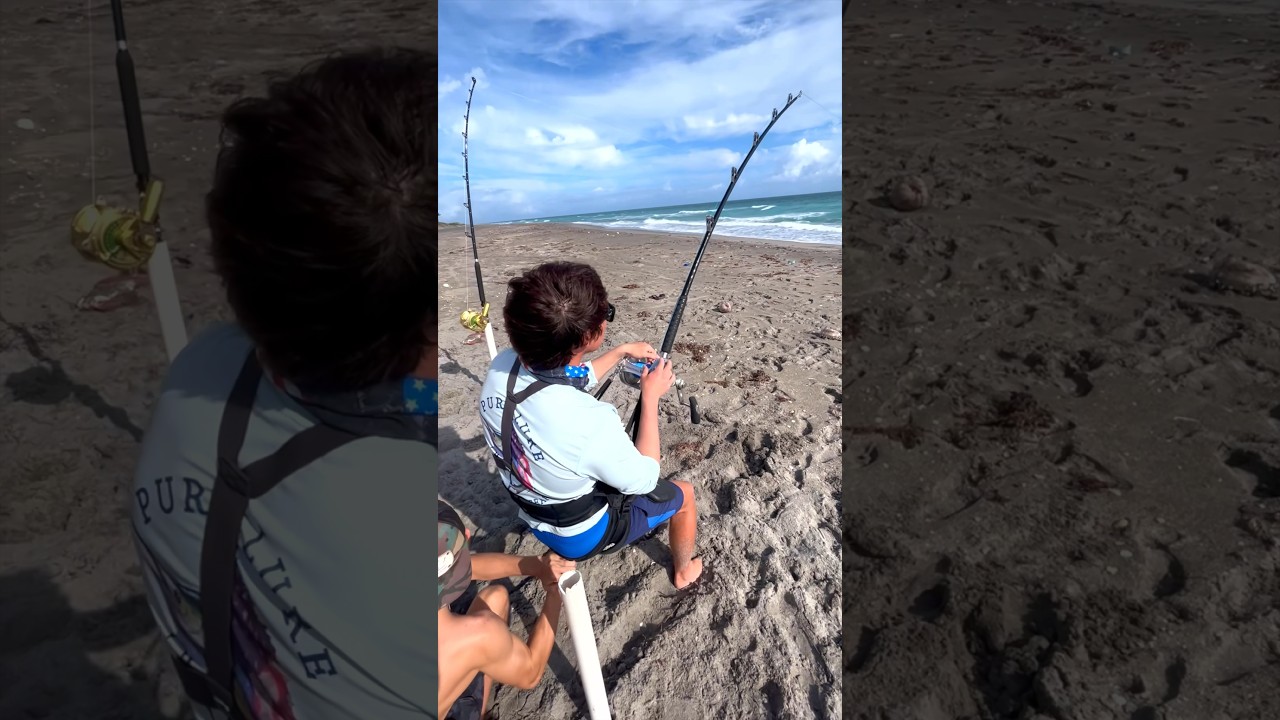 Doulbed Up W Only 1 Harness 😳 