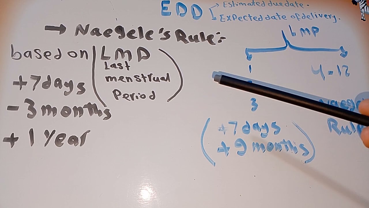 أسهل طريقة لحساب ال EDD🫄👶📆