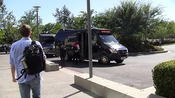 Navigating the Corporate Jungle