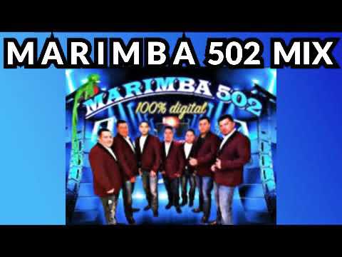 MARIMBA 502 MIX, FIESTA MIX 11, la abeja miope, Maria Elena, tucanazo, la culebra.