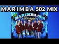 MARIMBA 502 MIX, FIESTA MIX 11, la abeja miope, Maria Elena, tucanazo, la culebra.