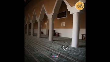 الشيخ سعود شريم ما تيسر من سورة فاطر #shortvideo #reels #حالات_واتس_اب
