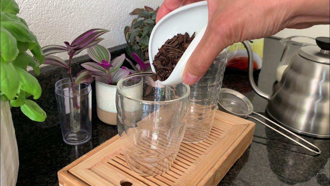 Brewing a Hojicha iced tea with milk. Hojicha latte. YouTube