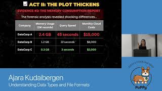 Ajara Kudaibergen - Understanding Data Types And File Formats