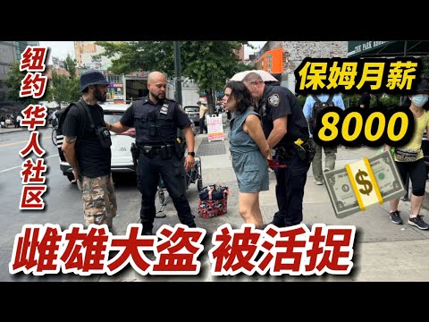 纽约华人社区，警察活捉雌雄大盗，保姆月薪8000美元，袖珍美食城，法拉盛天下一家美食城