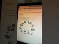 IELTS Writing 8.5 with Cathoven AI!