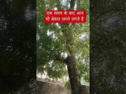 #motivation #shorts#viral #trendin g
