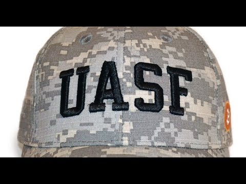 Celebrating Bitcoin Independence Day - #UASF - One Year Later