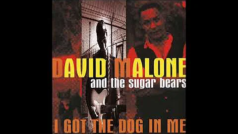 David Malone - I Got The Dog In Me
