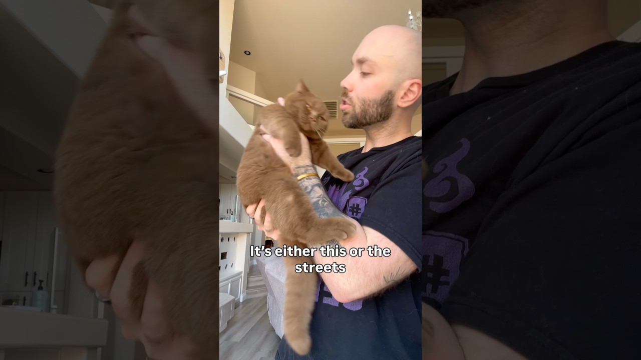 Poor cosmic coffee bean