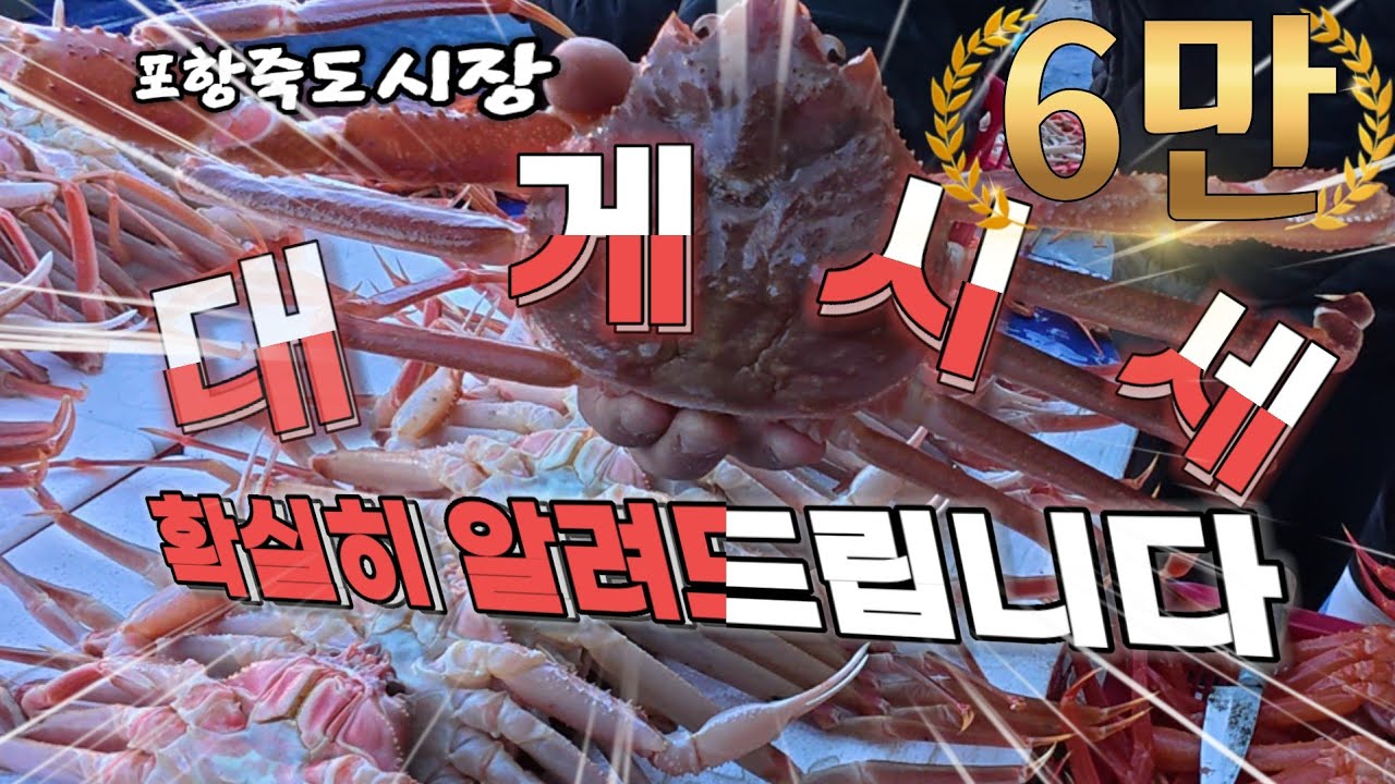 대게시세 빵터지게 확실히 알려드립니다.😄😁(#포항죽도시장#대게시세#대게가격#죽도시장#인기급상승))